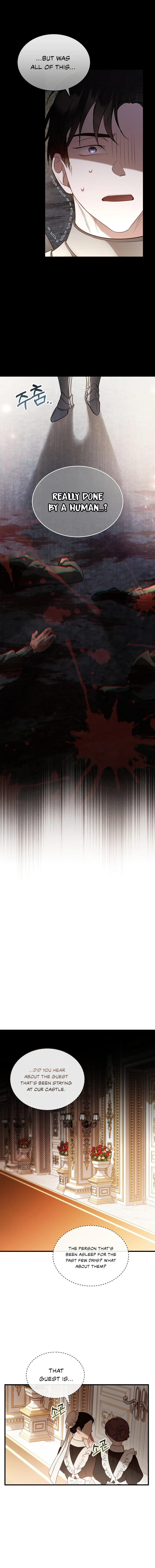 The Night Without Shadows Chapter 34 — Page 6