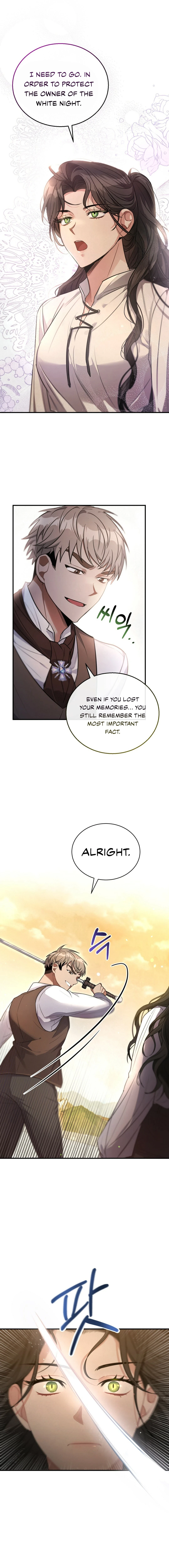 The Night Without Shadows Chapter 5 — Page 20