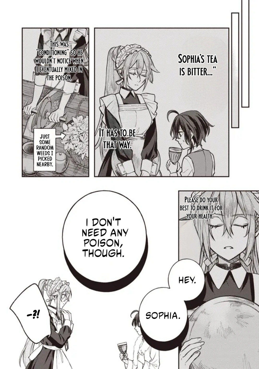 The Noble's Useless Third Son Becomes the Ultimate Mage: ~Demon-Modding Every Spell by Tweaking My Parameters! Why Is My Rep Going up When I'm Just Fucking Around?~ Chapter 4.1 — Page 10