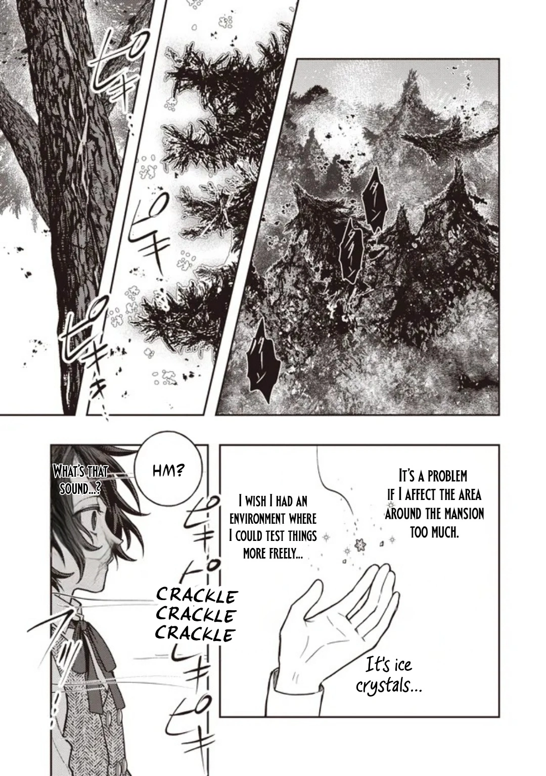 The Noble's Useless Third Son Becomes the Ultimate Mage: ~Demon-Modding Every Spell by Tweaking My Parameters! Why Is My Rep Going up When I'm Just Fucking Around?~ Chapter 5.1 — Page 11