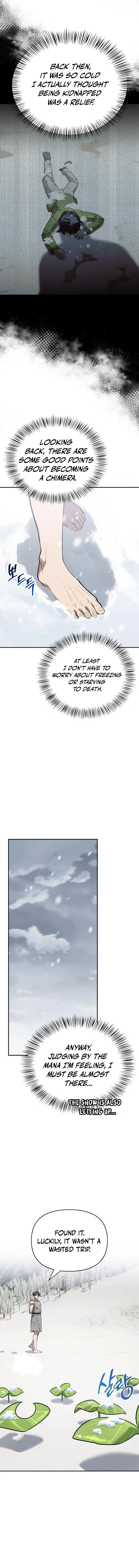 The S-Class Hunter's Peaceful Life With Monsters Chapter 3 — Page 9