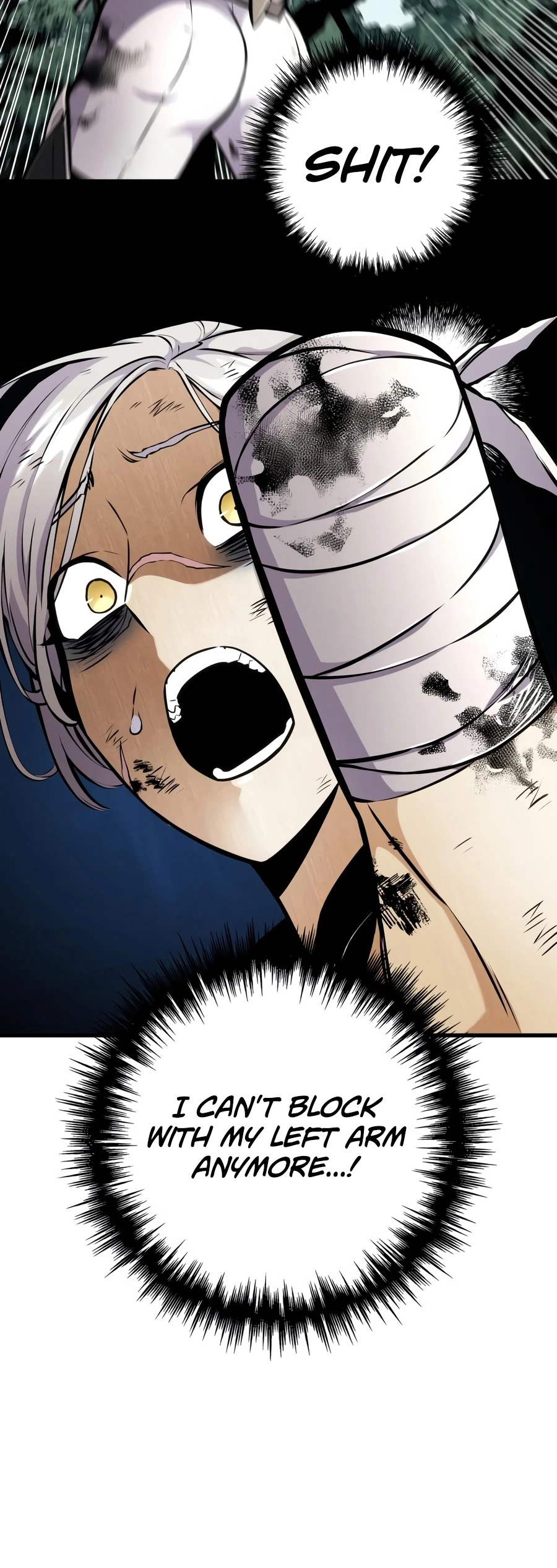 The Wandering Knight’s Survival Manual Chapter 52 — Page 14