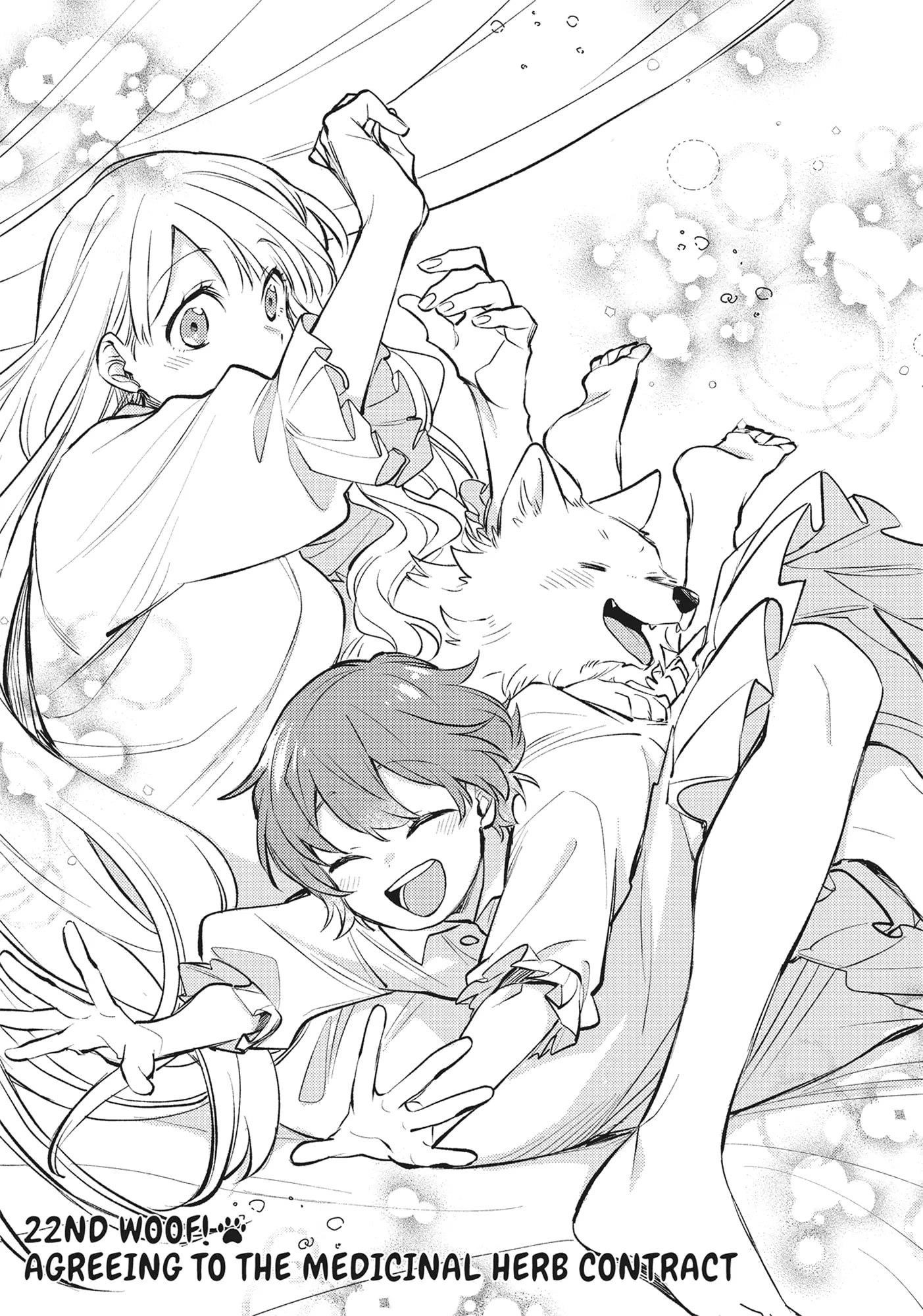 When I moved to another world, my dog became the strongest ~ When Silver Fenrir and I started living in another world ~ Chapter 22 — Page 1