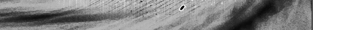 Yuusha Party o Oidasareta Kiyoubinbou: Party Jijou de Fuyojutsushi o Yatteita Kenshi, Bannou e to Itaru Chapter 57.1 — Page 7